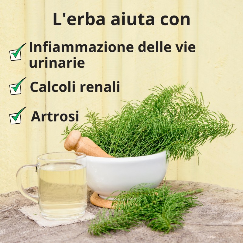 Stelo di Equiseto - 70g