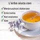 Lavanda - 3x50g