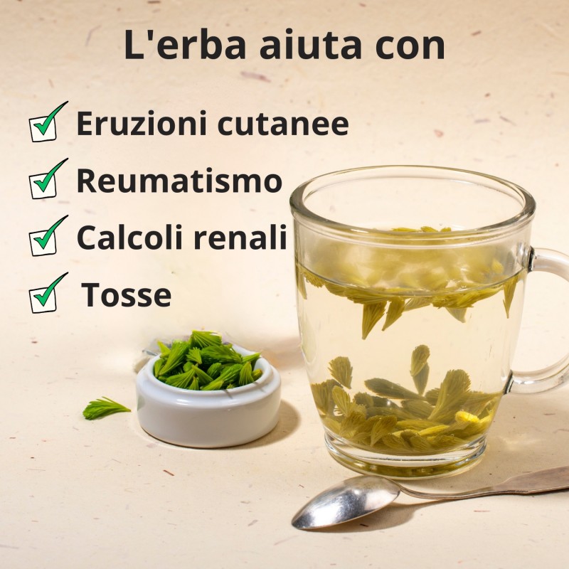 Suggerimenti per il Pino - 50g