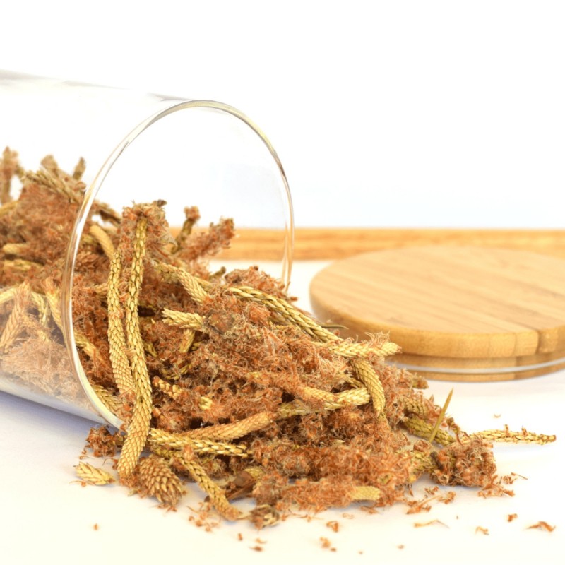 Suggerimenti per il Pino - 50g