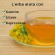 Erba di San Giovanni - 60g