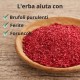 Sumac - 70g