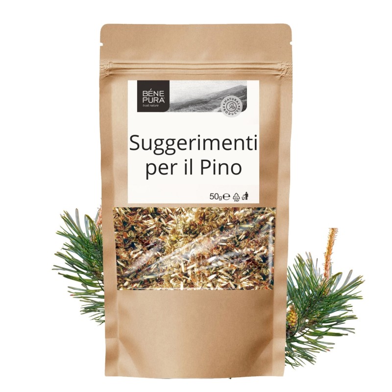Suggerimenti per il Pino - 50g - Erbe