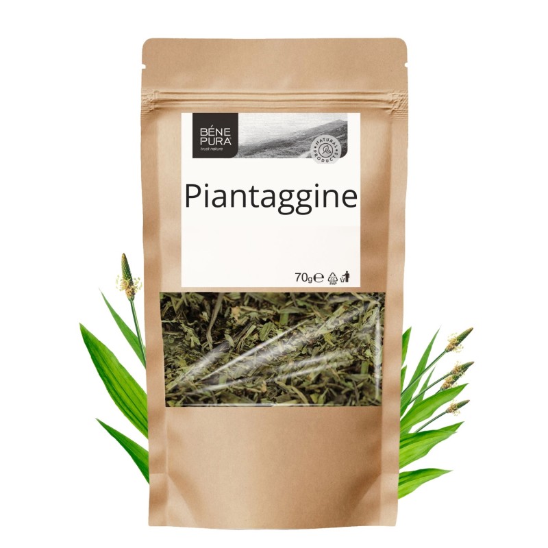 Piantaggine - 70g - Programma Affiliato