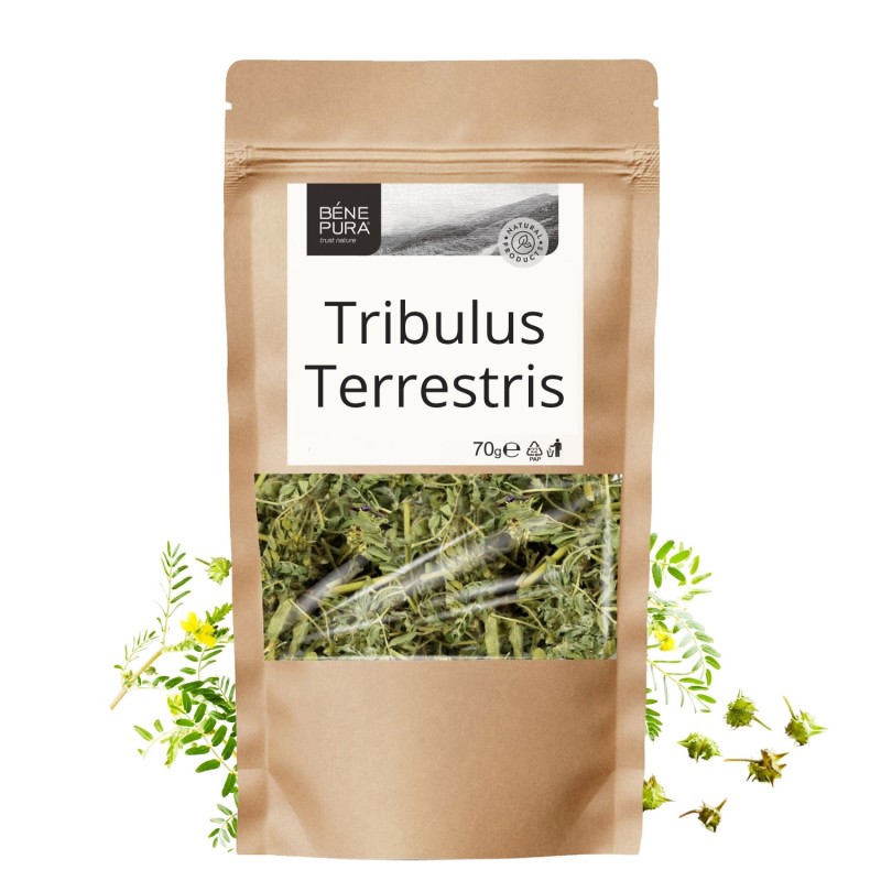 Tribulus Terrestris - 70g - Erbe