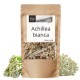 Achillea bianca - 50g