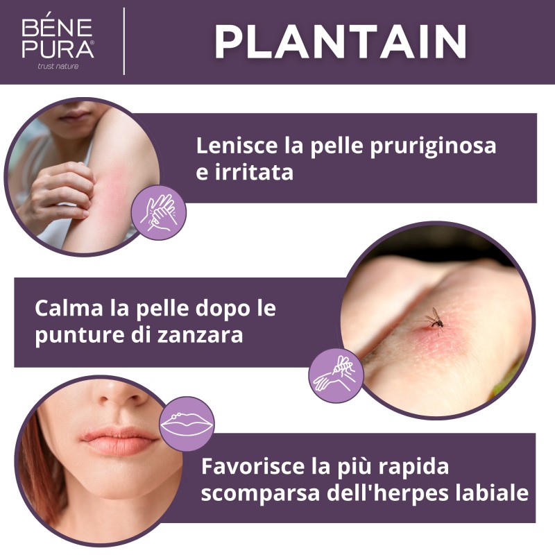 Pomata per Prurito con Piantaggine - 40ml