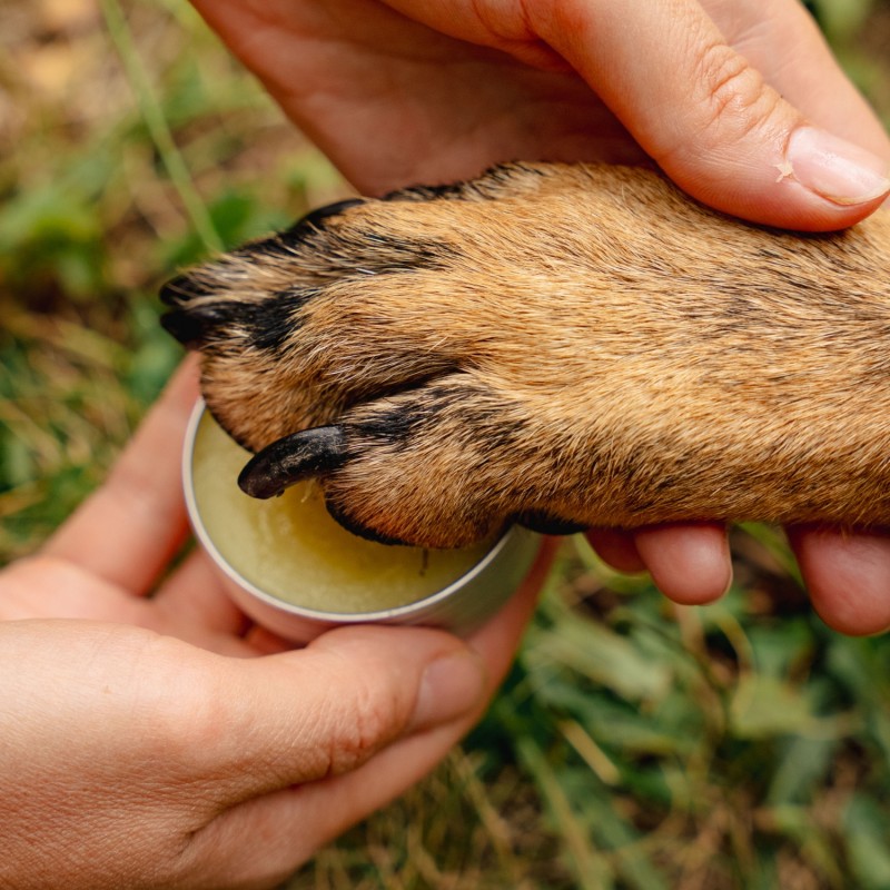 Balsamo Rigenerante per Animali alla Calendula - 40ml