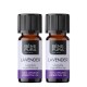 2x Bio Olio essenziale di Lavanda - 10ml