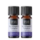 2x Bio Olio essenziale di Rosmarino Canfora - 5ml