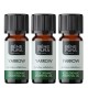3x Bio Olio essenziale di Achillea - 10ml