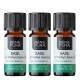 3x Bio Olio essenziale di Basilico - 5ml