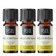 3x Bio Olio essenziale di Elicriso - 5ml