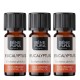 3x Bio Olio essenziale di Eucalipto Globulus - 10ml