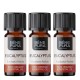3x Bio Olio essenziale di Eucalipto Radiata - 5ml