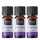 3x Bio Olio essenziale di Lavanda - 10ml