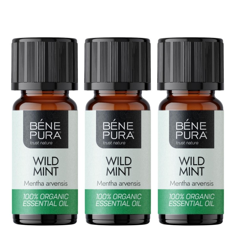 3x Bio Olio essenziale di Menta Selvatica - 5ml - Confronto dei Prodotti