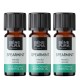 3x Bio Olio essenziale di Menta verde - 5ml