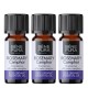 3x Bio Olio essenziale di Rosmarino Canfora - 5ml