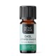 Bio Olio essenziale di Basilico - 5ml