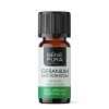 Bio Olio essenziale di Geranio - 10ml