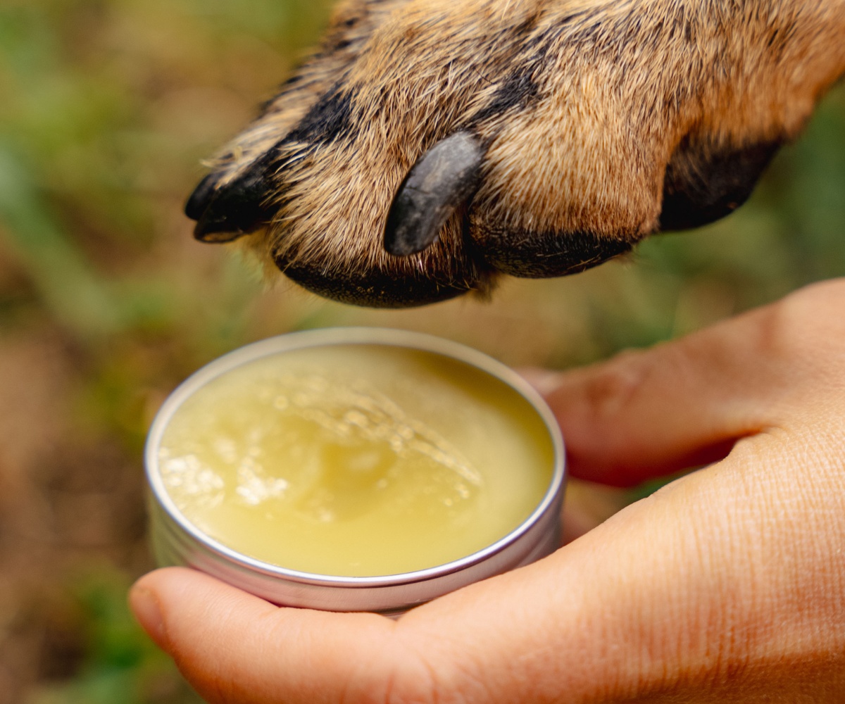 Balsamo anti-irritazione per animali domestici con piantaggine