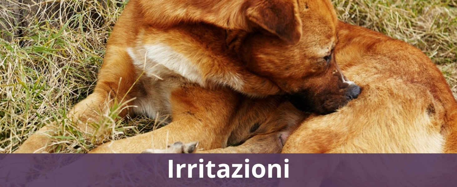 Irritazioni