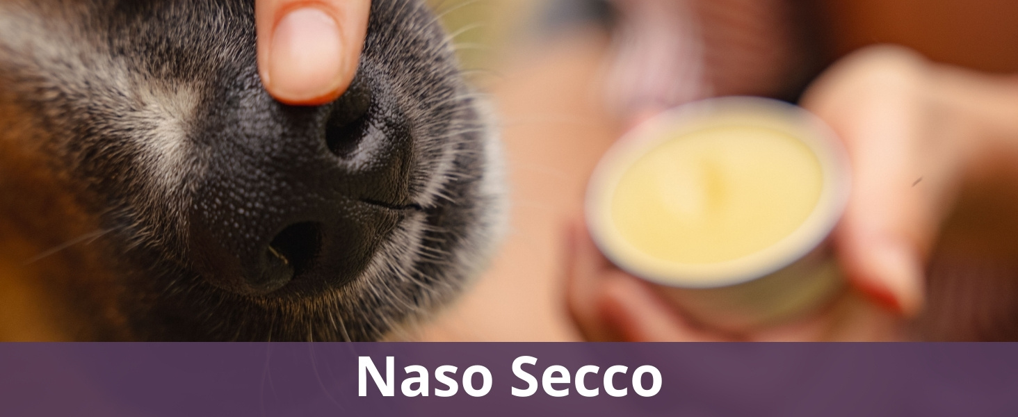 Naso Secco