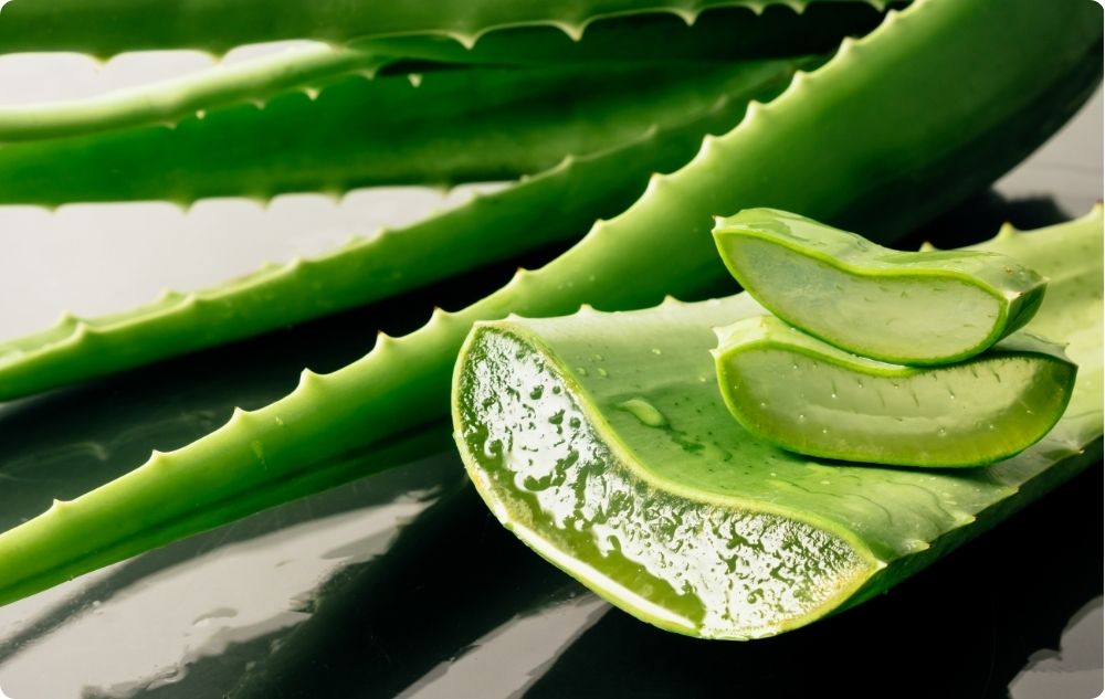 Gel di aloe vera