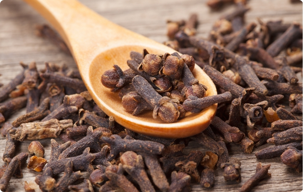 A cosa serve l'Olio essenziale di Chiodi di Garofano?