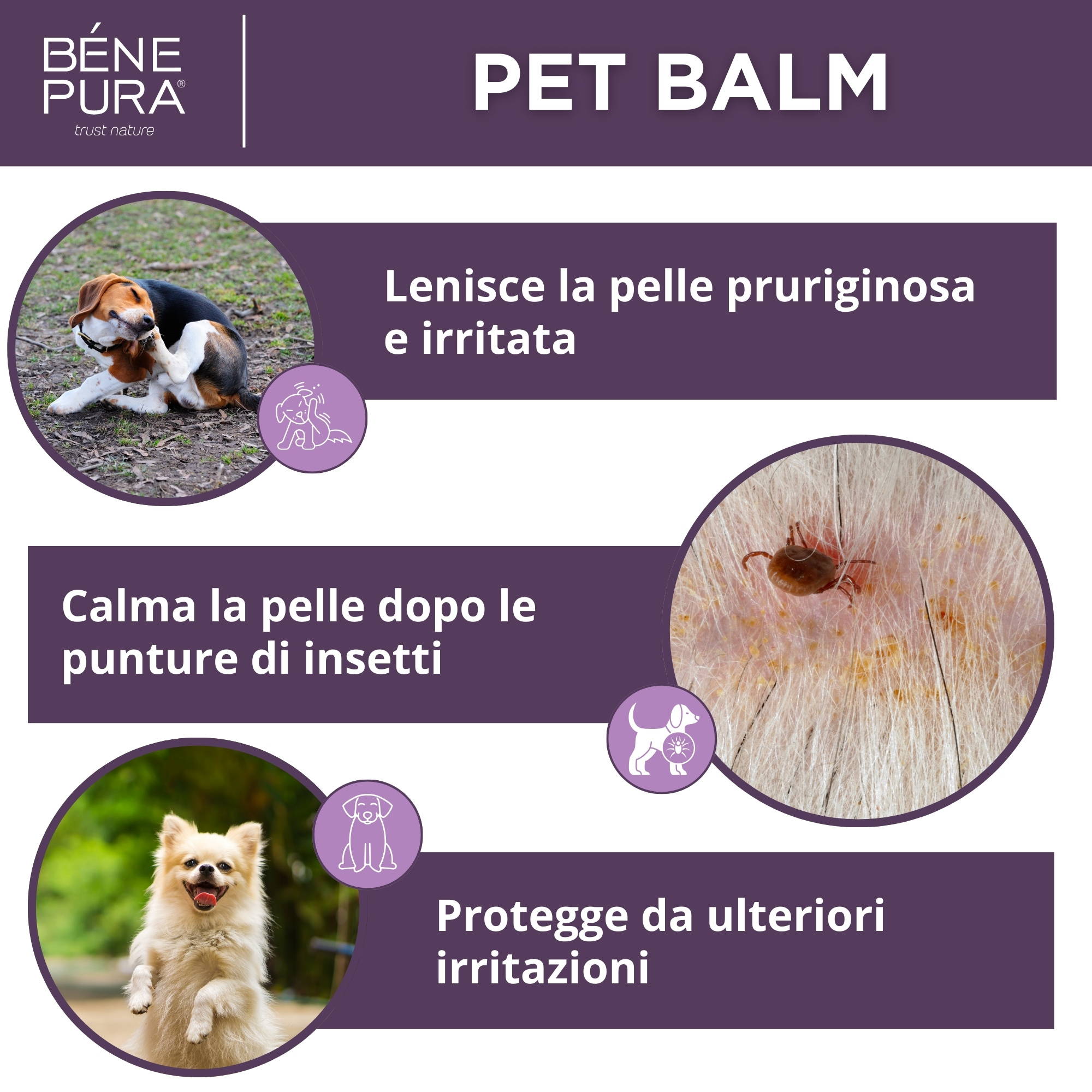 Balsamo Anti Irritazione per Animali con Piantaggine - 40ml