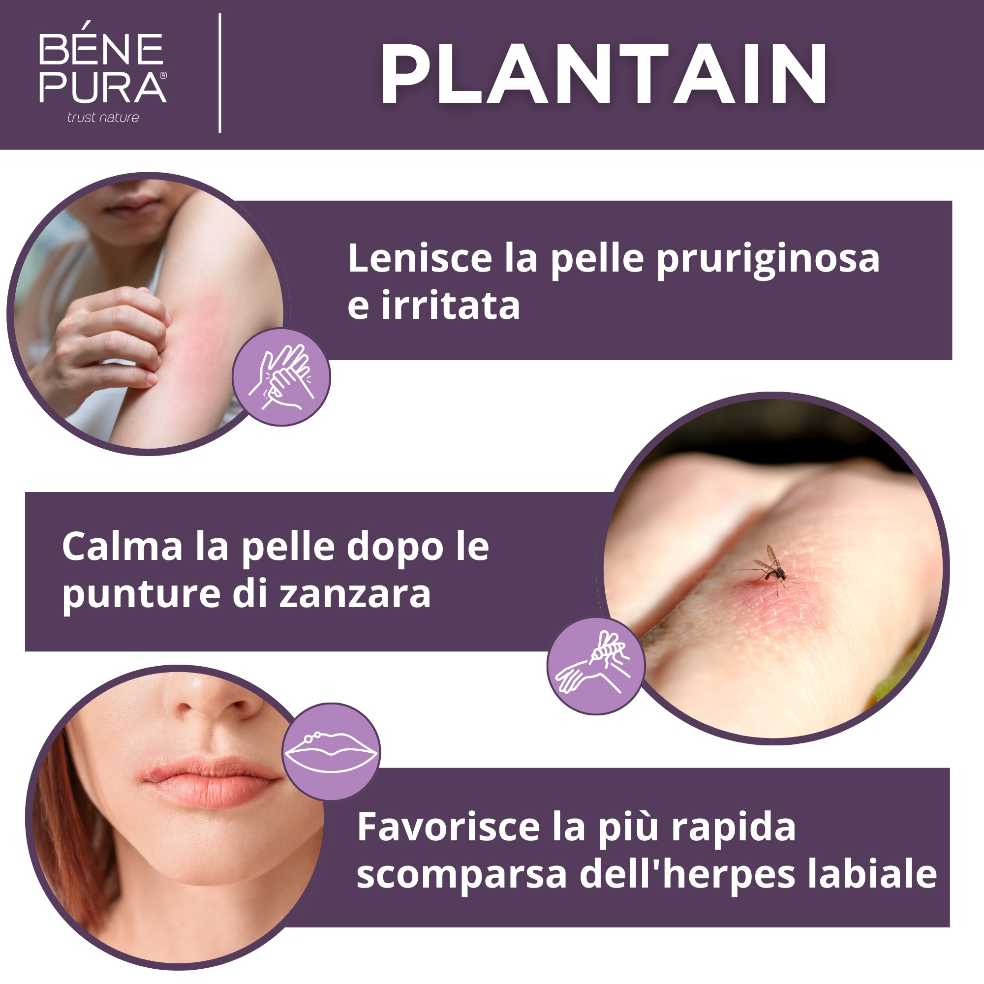 Pomata per Prurito con Piantaggine - 40ml