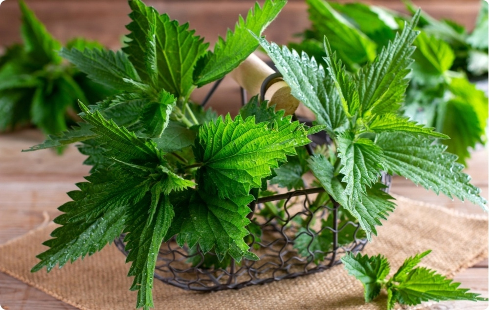 Pomata per Articolazioni con Consolida e Ortica - 40ml